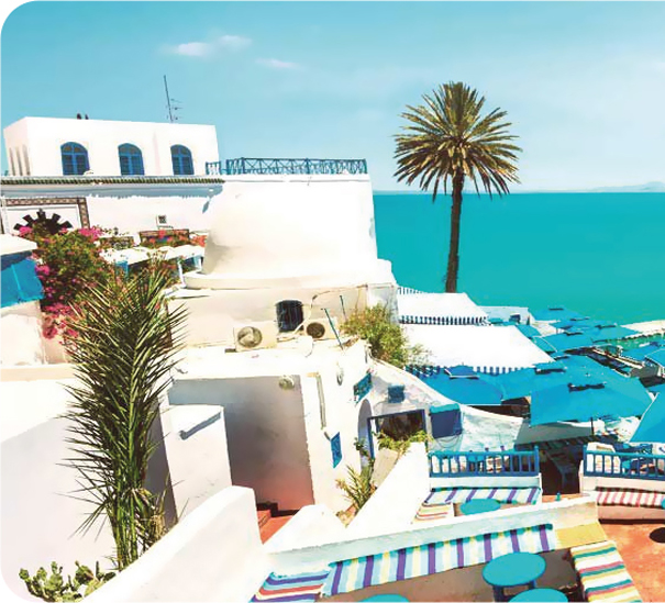 VITALEMED Agence tourisme médical en Tunisie